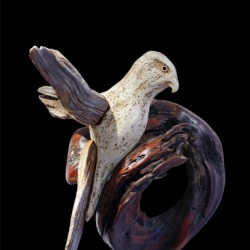 Bild:  © Sabine Siegler